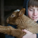 Matthew Lamb Photo 11