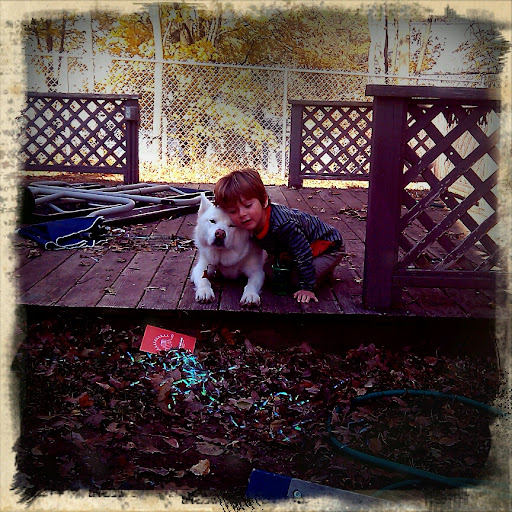 Michelle Harrington Photo 37