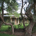 Kimberly Hopper Photo 13