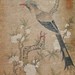 Ting Jiang Photo 29