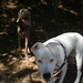 Lucy Dunn Photo 12