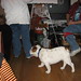 Debbie Baxter Photo 23