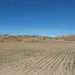 Douglas Dyer Photo 9