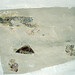 Mary Plaster Photo 20