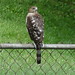 Sandra Hawks Photo 8