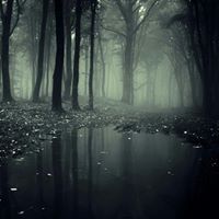 Sarah Groves Photo 33