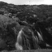 Bw Harris Photo 6
