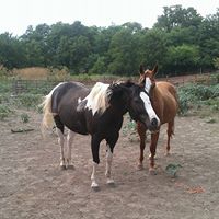 Julie Stamper Photo 18