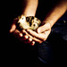 Rebecca King Photo 26