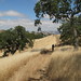 Alan Gates Photo 23