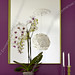Violet Walling Photo 4