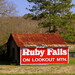 Ruby Jackson Photo 11