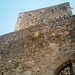 Castillo Martin Photo 14