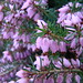 Erica Winters Photo 15