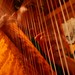 Ruth Harp Photo 23