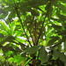Sue Dickson Photo 12