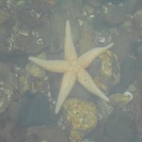 Amy Worden Photo 9