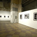 Edgar Cartwright Photo 8