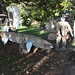 Fred Phillips Photo 28
