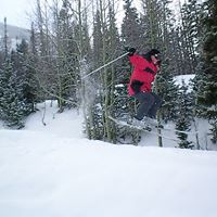 Stacy Mccain Photo 16