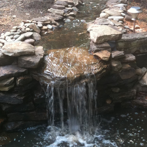Kim Mcdaniel Photo 21