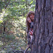Carolyn Davidson Photo 36