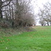Robert Cole Photo 8