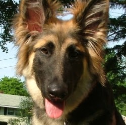 Cathy Rhoades Photo 12