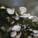 Benjamin Bolin Photo 6