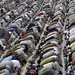Syed Qadir Photo 26