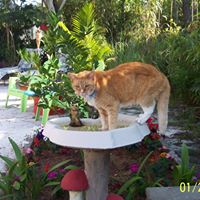 Susan Roderick Photo 10