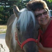 Phyllis Krueger Photo 9