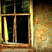 Lester Bean Photo 9