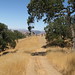 Alan Gates Photo 24