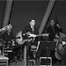 Larry Gray Photo 38