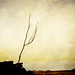 Allan Duncan Photo 24