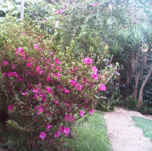 Erlinda Ramirez Photo 1