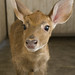 Kori Singleton Photo 8
