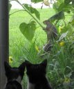 Sharon Bowman Photo 17