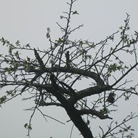 Vivien Lee Photo 9