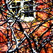 Peder Oase Photo 8
