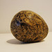 Stacy Stone Photo 16
