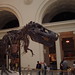 Sue Rex Photo 15