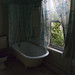 Joseph Rotman Photo 11
