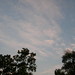 Robin Harrison Photo 19