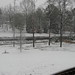 Michael Hunnicutt Photo 17