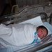 Alpesh Patel Photo 34