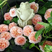 Teresa Craft Photo 15