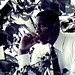 Justin Richardson Photo 22