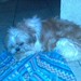 Ralph Perfetto Photo 10